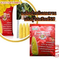 ราคา เมล็ดข้าวโพดหวาน พันธุ์ ไฮบริกซ์59 1 กก. ตรา แปซิฟิค เมล็ดสีเหลือง หวาน นุ่ม (12642062256)