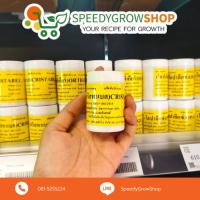 ราคา เมล็ดผักสลัด กรีนโอ๊ค เรดโอ๊ค กรีนคอส ฟิลเลซ์ 1,000เมล็ด/เคลือบ (Enza) (23166907338)