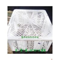 ราคา ด่วนตะกร้าพลาสติกขนส่งมะม่วงสดมือที่สองลําไยตะกร้ากล่องเก็บจัดส่งนกพิราบกรอบบรรจุภัณฑ์สัตว์เลี้ยงลําไย 0GZP (43823798674)