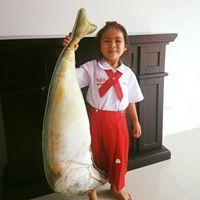 ราคา หมอนปลาทูนึ่ง 1 เมตร เนื้อหวานนุ่ม หนังสวยเต่งตึงท้องไม่แตก หมอนของขวัญ แต่งร้านอาหาร (634567934)