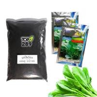 ราคา ชุดปลูกผักสวนครัว เมล็ดคะน้ายอดเจียไต๋ 2 ซอง พร้อมมูลไส้เดือน 1 กก. (634607950)