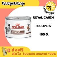 ราคา (1 กระป๋อง) Royal canin Recovery 195 g อาหารสัตว์ป่วย/พักฟื้น สุนัข/แมว (4697714368)