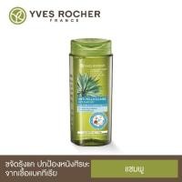 ราคา Sale!! ♥️[NEW] Yves Rocher BHC Anti Dandruff Treatment Shampoo 300ml (6302958222)