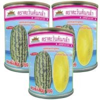 ราคา เมล็ดพันธุ์แตงโม เยลโล่สโตน 169 ตราตะวันต้นกล้า ขนาด 40 กรัม ขนาดผล 6-8 กิโลกรัม (26921703701)