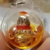 ราคา น้ำเต้าหมากทุยอัดกรอบพลาสติกกันน้ำ ใส่น้ำมัน (5617472935)