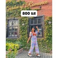 ราคา จั๊มสูทขายาวลายแมวสุดน่ารัก ป้าย Brillant Clothing (8324694222)