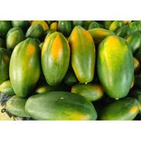 ราคา มะละกอเรดเลดี้ปลอดสาร ส่งจากสวนพัทลุง สุกธรรมชาติไม่บ่มแก๊ส นน.5-6ขีด (42910993890)