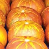 ราคา เมล็ดพันธ์แตงไทยลูกกลม​ 20Seeds (1652040869)