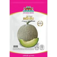 ราคา เมล็ดพันธุ์ เมล่อนลูกผสม เลดี้กรีน ซองพรีเมี่ยม 80 เมล็ด ตราตะวันต้นกล้า (26320249156)