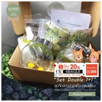 ราคา ชุดจัดสวนขวดแก้ว ทรงกลมเอียง Terrarium Set Double 2 ขวด ชุดจัดสวนขวด (9239529148)