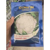 ราคา เมล็ดกะหล่ำดอก คอนทร้า 291 ขนาด 20 กรัม ดอกใหญ่ สีขาวนูนสวย ตรา เจียไต๋ (42912603140)