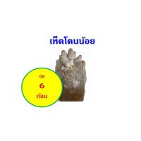 ราคา ก้อนเห็ดโคนน้อย ชุด 6 ก้อน (11734908249)