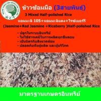 ราคา ข้าวซ้อมมือ (3สายพันธุ์) (3 Mixed Half-polished Rice (Jasmine+Red Jasmine +Riceberry ) )ข้าวอินทรีย์ ยโสธร yasothon (7442842988)