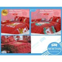 ราคา ✨TULIP✨ชุดเครื่องนอน ลายลิขสิทธิ์ทีมฟุตบอล 6 ฟุต (1845366365)