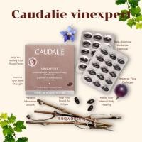 ราคา พร้อมส่ง CAUDALIE Vinexpert วิตามินผิว Super Antioxidant สกัดจากเมล็ดองุ่นฝรั่งเศส 30 แคปซูล (54801323270)