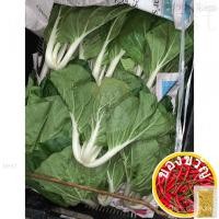 ราคา 10G, ~ 5000เมล็ด/ขาวปากฉุนเฉียว * ฟาง/seeds/ เสื้อ/มักกะโรนี/ขึ้นฉ่าย/ของเล่น/กุหลาบ/อัญมณี/และ DXQ3 (18570829284)