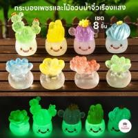 ราคา กระบองเพชรและไม้อวบน้ำจิ๋วเรืองแสง [ เซต 8 ชิ้น ] ตุ๊กตาจิ๋ว โมเดลจิ๋ว แต่งสวน ตุ๊กตาแต่งสวนจิ๋ว ตุ๊กตาจัดสวนถาด (25594485033)