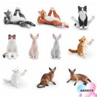 ราคา GOXI75 ตุ๊กตาสัตว์เลี้ยงที่สมจริง, PVC Siamese British Shorthair Cat จําลองแมวรุ่น, น่ารักเหมือนจริงแมวรูปปั้นเครื่องประดับตกแต่งรถ (55401680053)