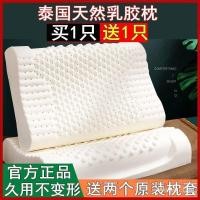 ราคา หมอนยางพาราธรรมชาติสำหรับเด็กและผู้ใหญ่ ผลิตโดยตรงจากโรงงาน ช่วยนวดแกนและดูแลสุขภาพ (42526106445)