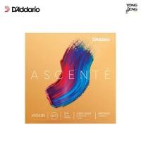 ราคา D' Addario สายไวโอลิน 4/4 รุ่น Ascente รหัส A310 4/4M (Yong Song) (4438078628)