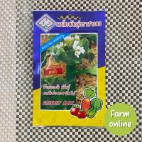 ราคา คะน้าฮ่องกงจัมโบ้ ตรา AAA (22463963589)