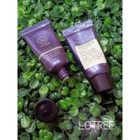 ราคา LOTREE BB Primer Tinted Control Base SPF40 pa++ (7077381205)