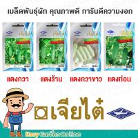 ราคา เจียไต๋ ผักซอง เมล็ดพันธุ์ผัก (ผักสายพันธุ์ทั่วไป) แตงกวา แตงร้าน แตงท่อน (8148425161)