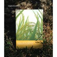 ราคา รอบรวงข้าว / กัญญ์ชลา (17591980749)