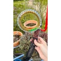 ราคา ครืนดักไก่ป่า ดักนกกวัก 31 หลัก (26879802584)