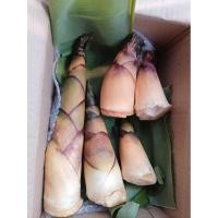 ราคา หน่อไม้หวาน อินทรีย์ 1 กิโล เก็บๆจากสวน (ใช้ แกง ต้มจืด สับทำหน่อส้ม หน่อไม้ดอง) หรือ ต้มเอาไว้ (44119205123)