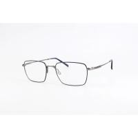 ราคา Charmant CH29741 BL 53 18 145 (41650528360)