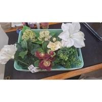 ราคา มือสอง ต้นไม้จิ๋วแต่งบ้าน พร็อพถ่ายรูป สินค้า ขายเหมา 8 ชิ้น สินค้า ikea (27570788920)