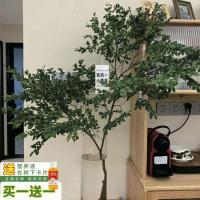 ราคา ต้นไม้คนที่สวยงามไฮโดรโพนิพืชสีเขียวม้าเมาไม้แขวนนาฬิกาแบนทางเลือกมูลค่าสูงพืชสีเขียวนอร์ดิกแสงหรูหราญี่ปุ่นตกแต่ง LFBR (49751921864)