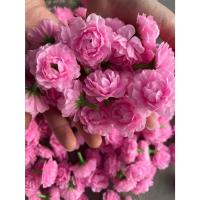 ราคา ดอกมะลิวันแม่ ( ดอกมะลิสีชมพู ดอกมะลิปลอม 1ถุง 20 ดอก หัวดอกมะลิ ดอกไม้วันแม่สีผ้า สวยๆๆ มีรูร้อยง่ายๆๆ ) (44058280137)