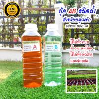 ราคา ปุ๋ย​ AB​ สำหรับปลูกผักสลักและผักไทยทุกชนิดแบบน้ำ​ ขนาดอย่างละ​ 500ml ใช้ปลูกผักไฮโดรโปนิกส์ได้ทุกระบบ (22822682261)