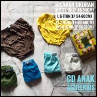 ราคา Agreekids กางเกงในเด็กชาย ML XL XXL (17587994846)