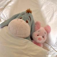 ราคา Reallycute ตุ๊กตา Disney พิกเล็ท อียอร์ Piglet Eeyore หน้าง่วง ของขวัญ ของเล่น (25413128457)