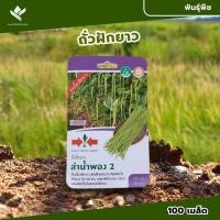 ราคา เมล็ดพันธุ์ถั่วฝักยาว ลำน้ำพอง 2 ตราศรแดง จำนวน 100 เมล็ด (25462241879)