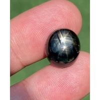 ราคา พลอย แบล็ค สตาร์ แซฟไฟร์ Black Star Sapphire 16.87 กะรัต (Cts.) ดิบ Unheated พลอยแท้ (21567237169)