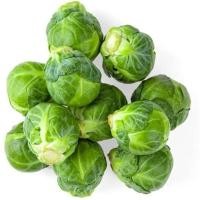 ราคา 30 เมล็ด เมล็ดพันธุ์ กะหล่ำดาว กะหลํ่าหัวลำต้น กะหล่ำดาวพันธุ์เบา Brussels Sprouts Seeds (42522563305)