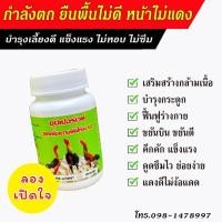 ราคา ซุปเปอร์เวย์ ยาไก่ชน อาหารเสริมไก่ชน เวย์โปรตีนไก่ชน บำรุงกำลัง เสริมสร้างกล้ามเนื้อ (19143796865)