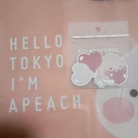 ราคา Clearance Sale New Kakao Friends Apeach Sticker (6608024464)