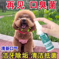 ราคา สุนัขไม่มีกลิ่นปาก] ตุ๊กตาสุนัขระงับกลิ่นกายทําความสะอาดฟันสัตว์เลี้ยงสเปรย์ทําความสะอาดช่องปากน้ําลายสัตว์เลี้ยงทําความสะอาด11.03 (46200738029)