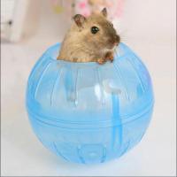 ราคา Hamster Jogging Ball - ของเล่นลูกบอลหนูแฮมสเตอร์ (24333279334)