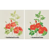 ราคา SAKURA สีน้ำ KOI WATER COLORS บรรจุ 24 สี (18509749364)