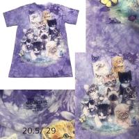 ราคา เสื้อยืด the mountain ลิขสิทธิ์แท้ 100%(มือสอง)สภาพดี (25120410294)