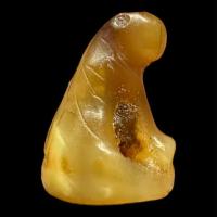 ราคา เสือหลวงพ่อปาน วัดบางนมโค สาริกาปลายเขี้ยว ตัวจริงเสียงจริง ตัวจริงสวยมาก จารอักขระชัดเจน สภาพนี้หายาก รับประกันแท้สากล (28787865756)