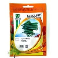 ราคา พันธุ์กระเจี๊ยบ เมล็ดกระเจี๊ยบ เมล็ดกระเจียบ กระเจี๊ยบ กระเจี๊ยบเขียว 12 (18585324426)