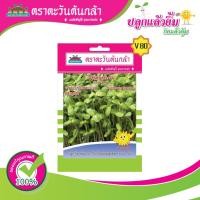 ราคา เมล็ดทานตะวัน เพาะงอก ตราตะวันต้นกล้า (21313000781)