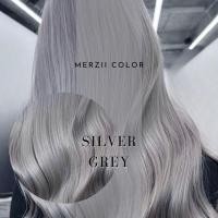 ราคา MERZii Color สีเทาอ่อน Silver grey (พื้นผมระดับ 10) (24171730572)